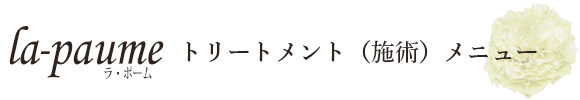 二子玉川のエステサロン「ラ・ポーム」施術メニュー