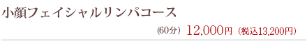 小顔フェイシャルリンパコース ９０分